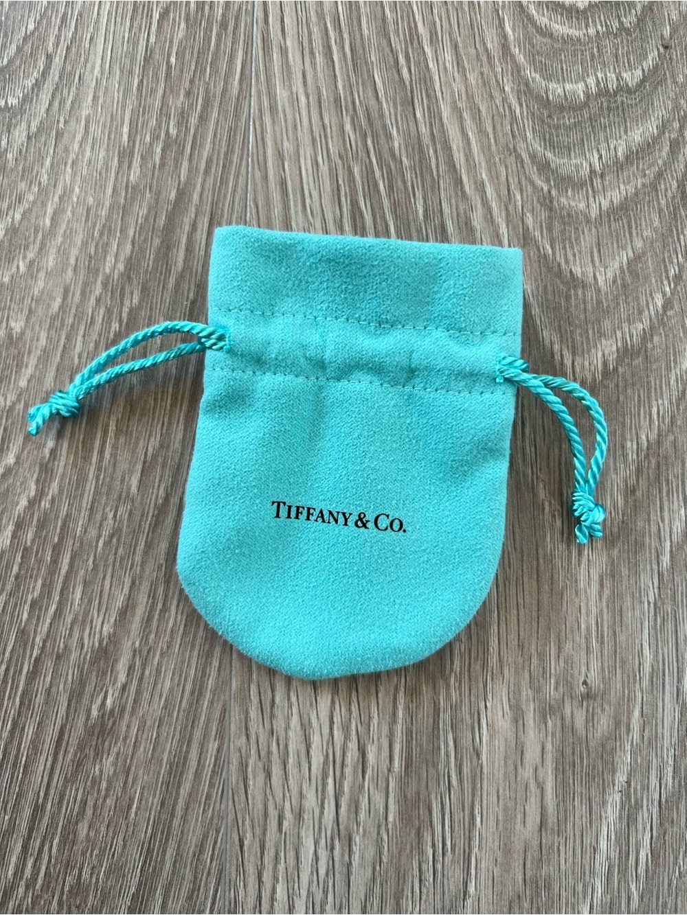 Tiffany dust bag (C595)